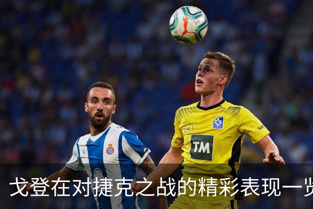戈登在对捷克之战的精彩表现一览