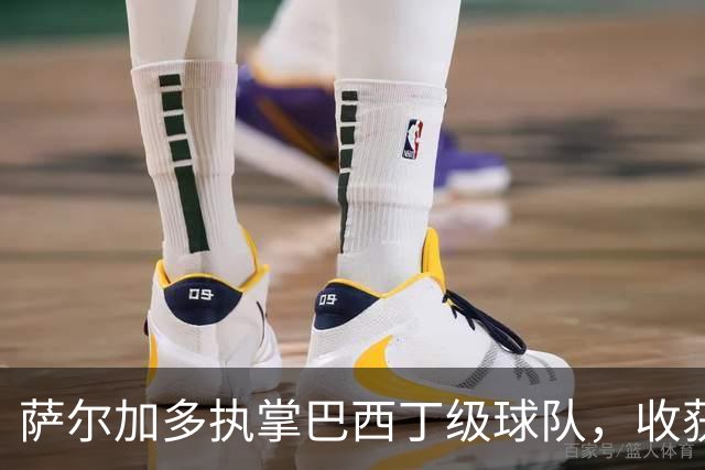 萨尔加多执掌巴西丁级球队，收获昔日队友祝贺